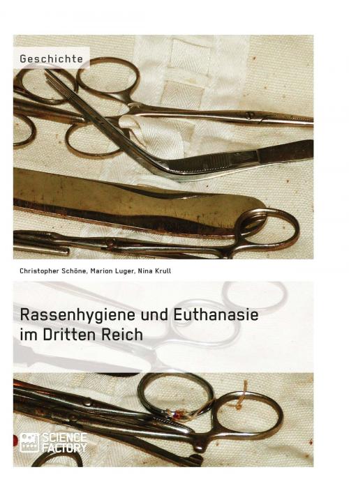 Cover of the book Rassenhygiene und Euthanasie im Dritten Reich by Christopher Schöne, Marion Luger, Nina Krull, Science Factory