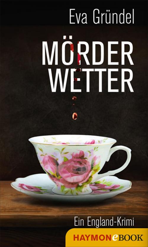 Cover of the book Mörderwetter by Eva Gründel, Haymon Verlag