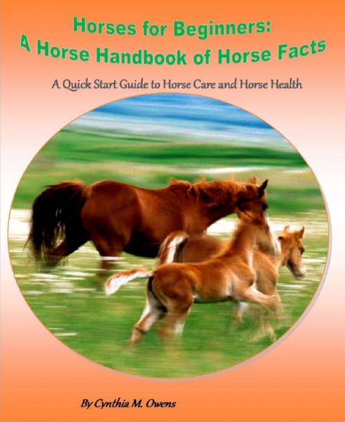 Cover of the book Horses for Beginners: A Horse Handbook of Horse Facts by Cynthia Owens, BookRix