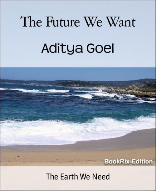 Cover of the book The Future We Want by Aditya Goel, BookRix