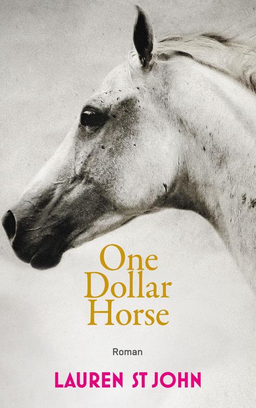Cover of the book One Dollar Horse by Lauren St. John, Verlag Freies Geistesleben