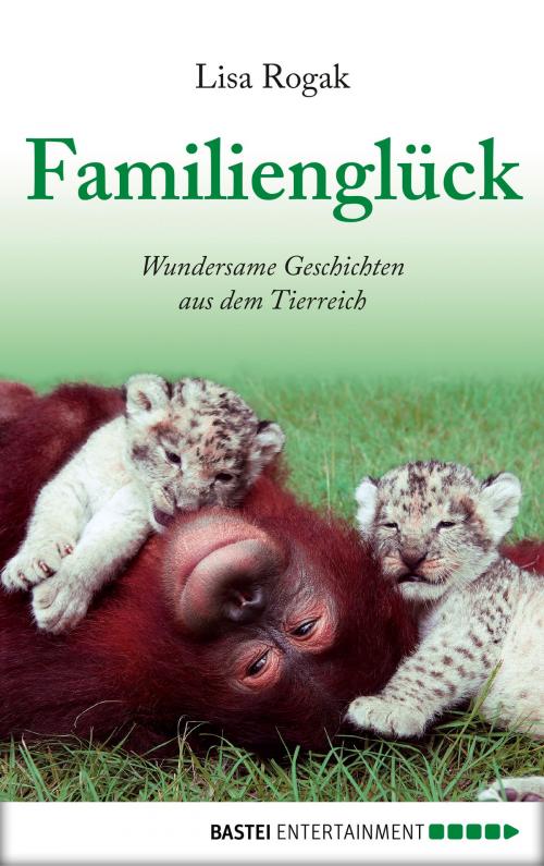 Cover of the book Familienglück by Lisa Rogak, Bastei Entertainment