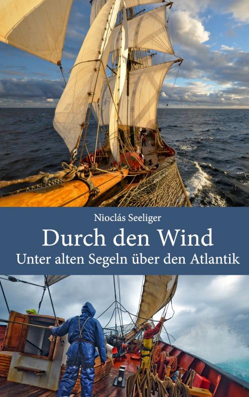 Cover of the book Durch den Wind by Nioclás Seeliger, Books on Demand
