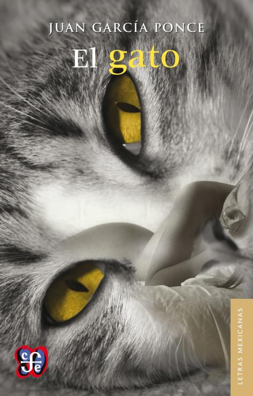 Cover of the book El gato by Juan García Ponce, Fondo de Cultura Económica