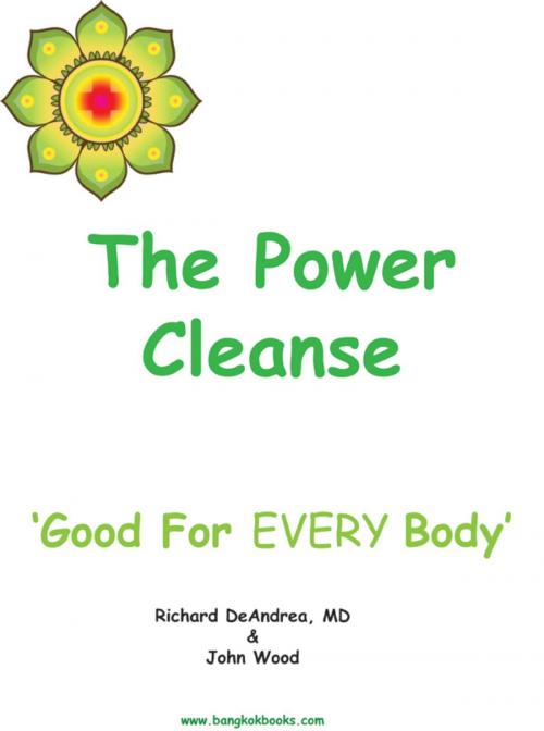 Cover of the book The Power Cleanse by Richard DeAndrea, John Wood, booksmango