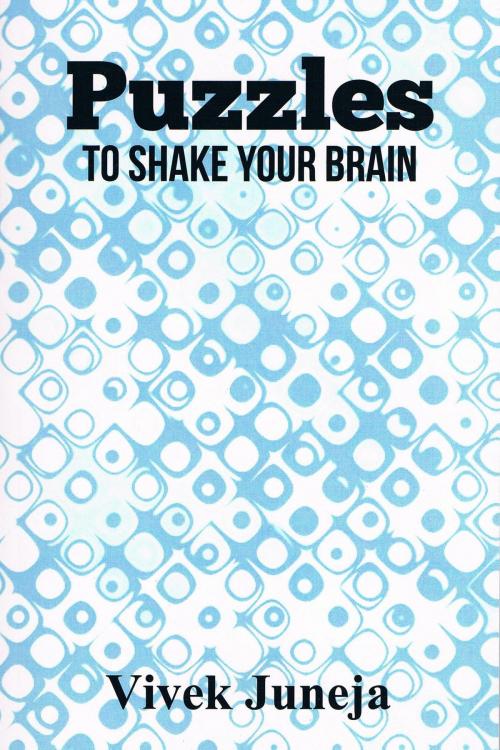 Cover of the book Puzzles - To Shake Your Brain by Vivek Juneja, booksmango