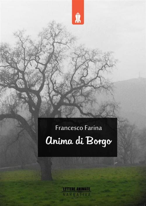 Cover of the book Anima di Borgo by Francesco Farina, Lettere Animate Editore