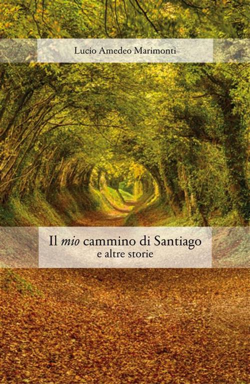 Cover of the book Il mio cammino di santiago e altre storie by Lucio Amedeo Marimonti, Lucio Amedeo Marimonti