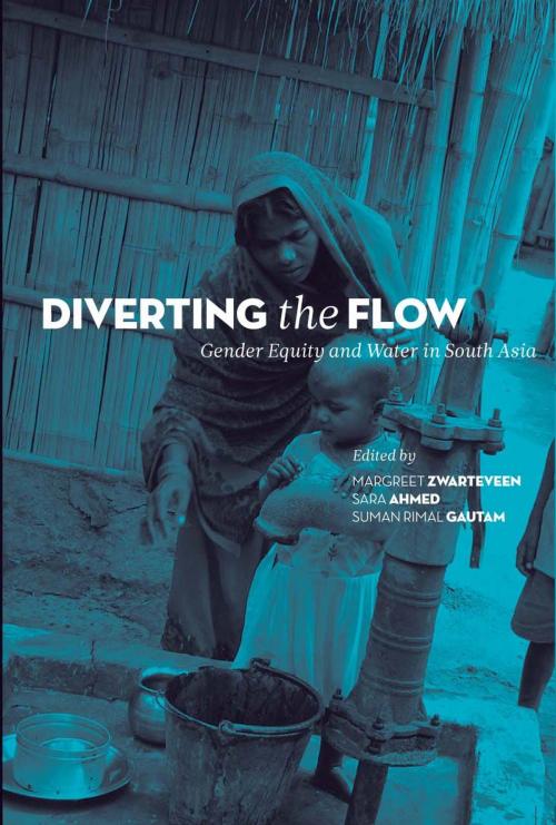 Cover of the book Diverting the Flow by , Zubaan