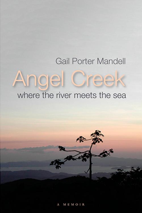 Cover of the book Angel Creek by Gail Porter Mandell, UWI Press