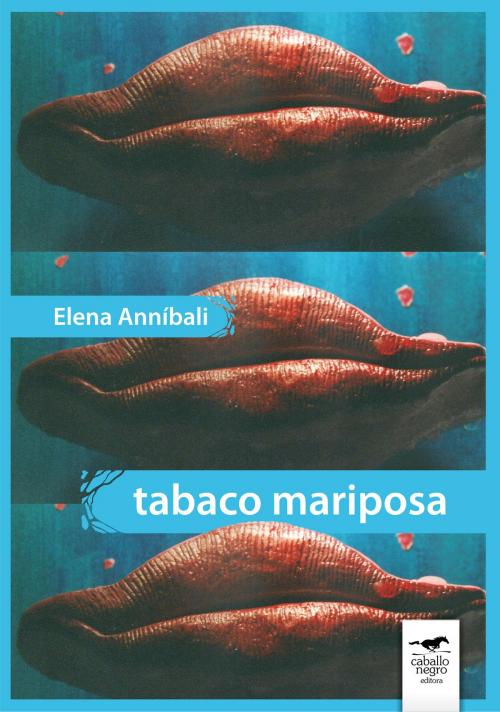 Cover of the book Tabaco mariposa by Elena Anníbali, Caballo Negro Editora