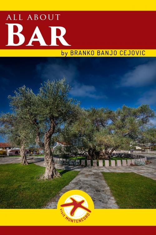 Cover of the book All about BAR by Branko BanjO Cejovic, BritishDotCom ltd