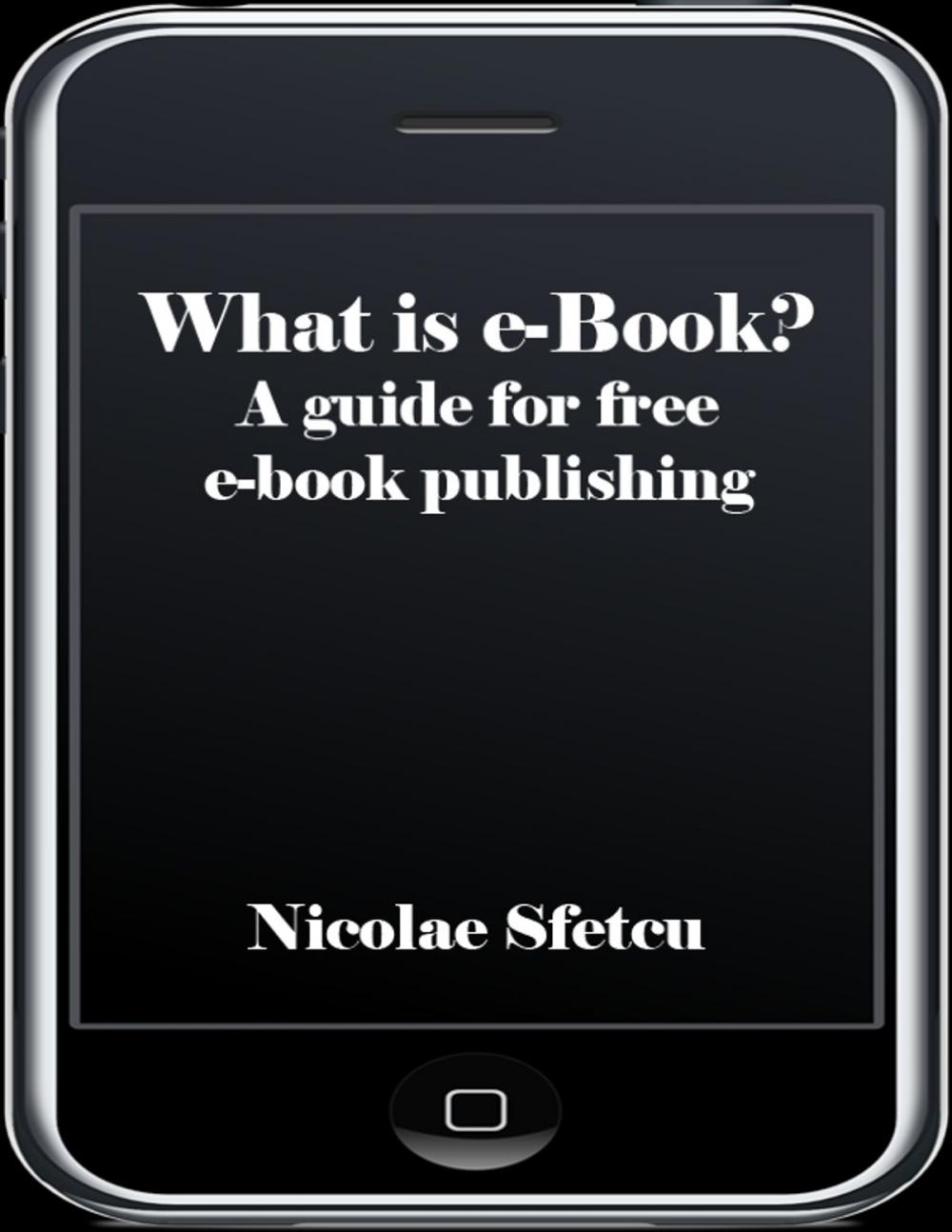 Big bigCover of What is e-book?