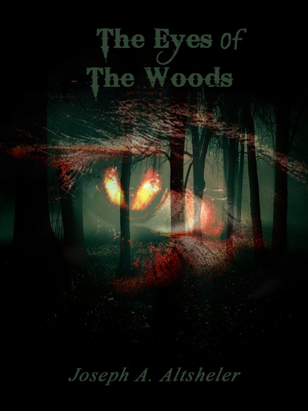 Big bigCover of The Eyes Of The Woods