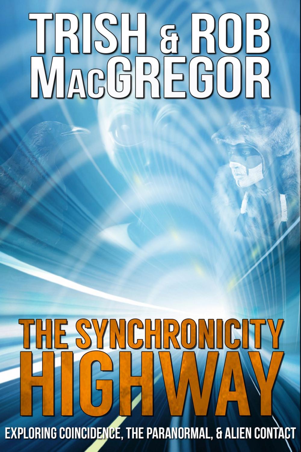 Big bigCover of The Synchronicity Highway