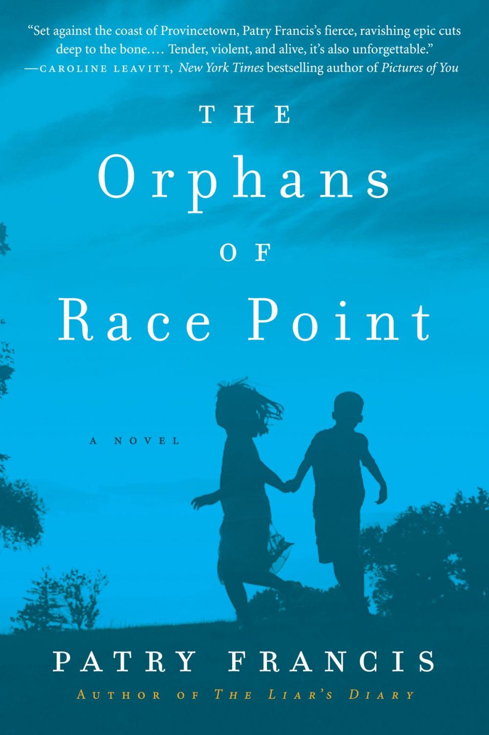 Big bigCover of The Orphans of Race Point