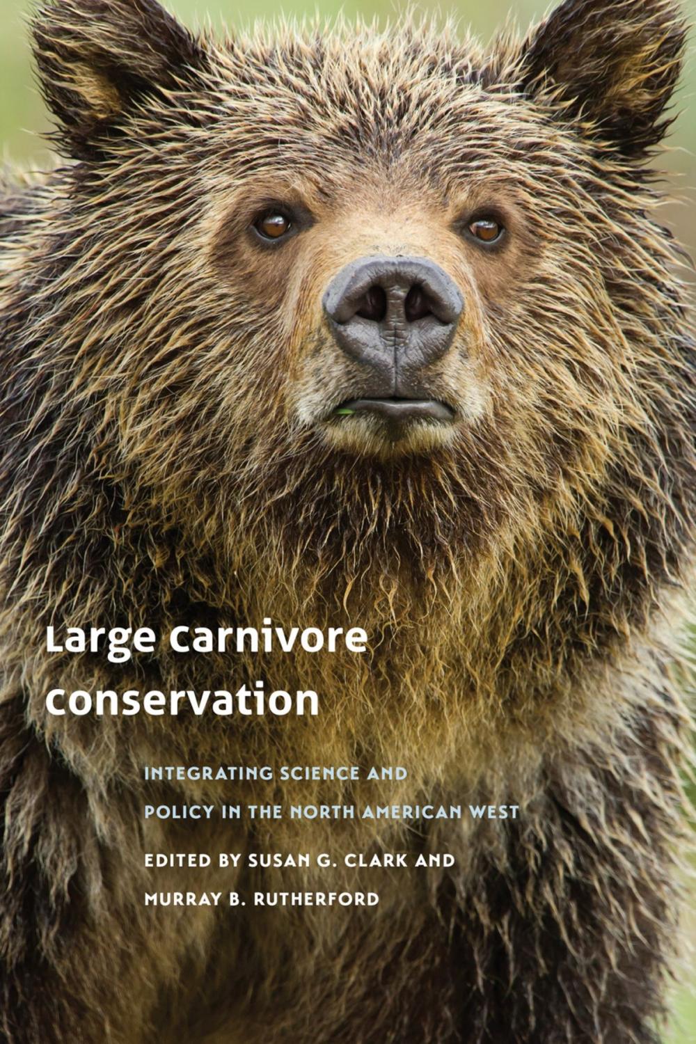 Big bigCover of Large Carnivore Conservation