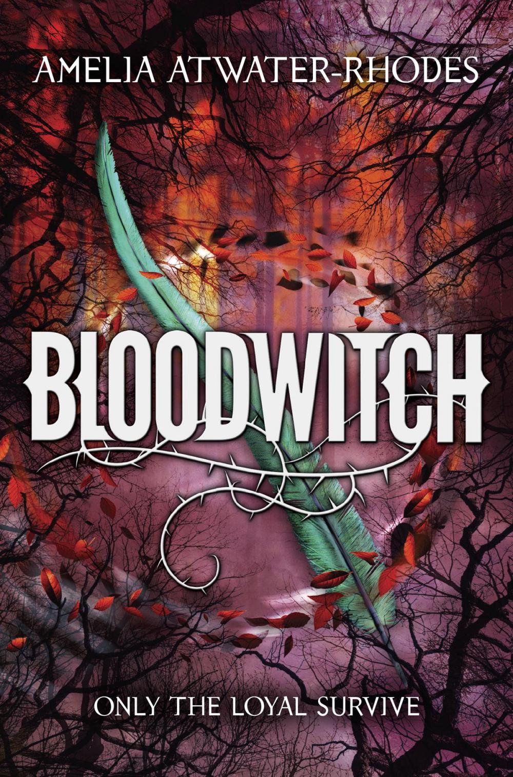 Big bigCover of Bloodwitch (Book 1)