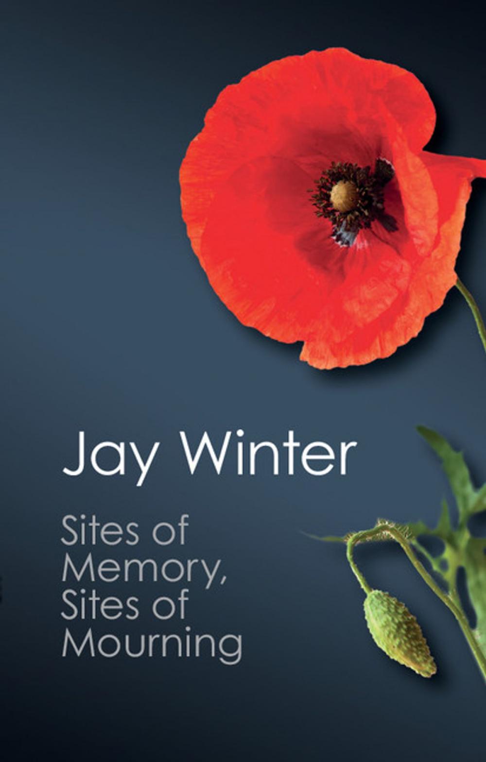 Big bigCover of Sites of Memory, Sites of Mourning