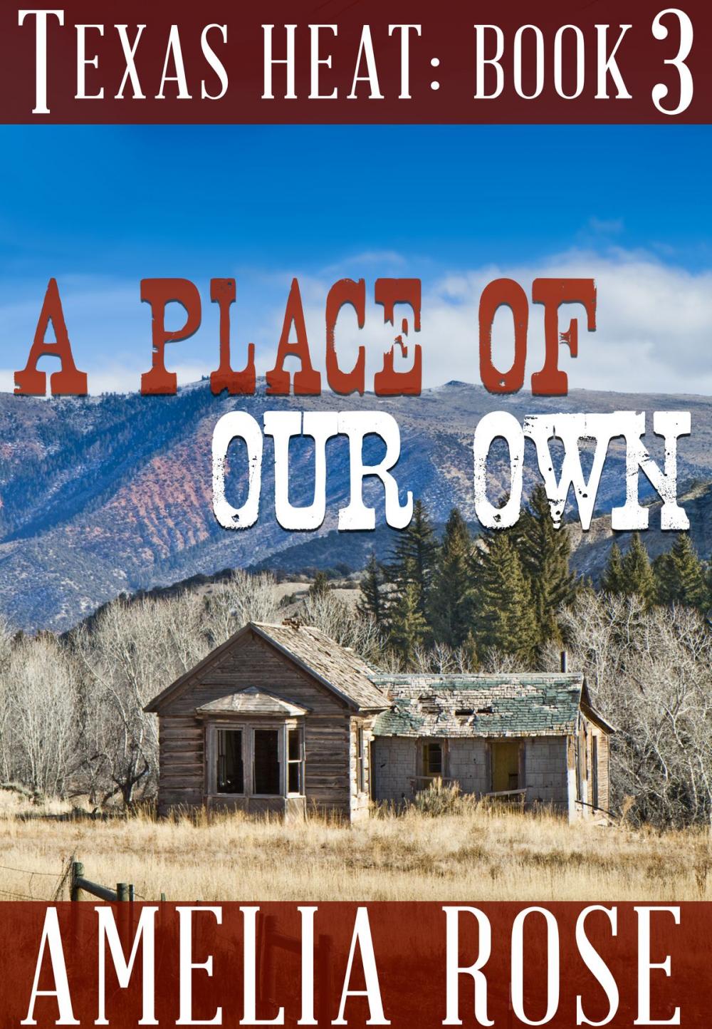 Big bigCover of A Place of our Own (Texas Heat: Book 3)