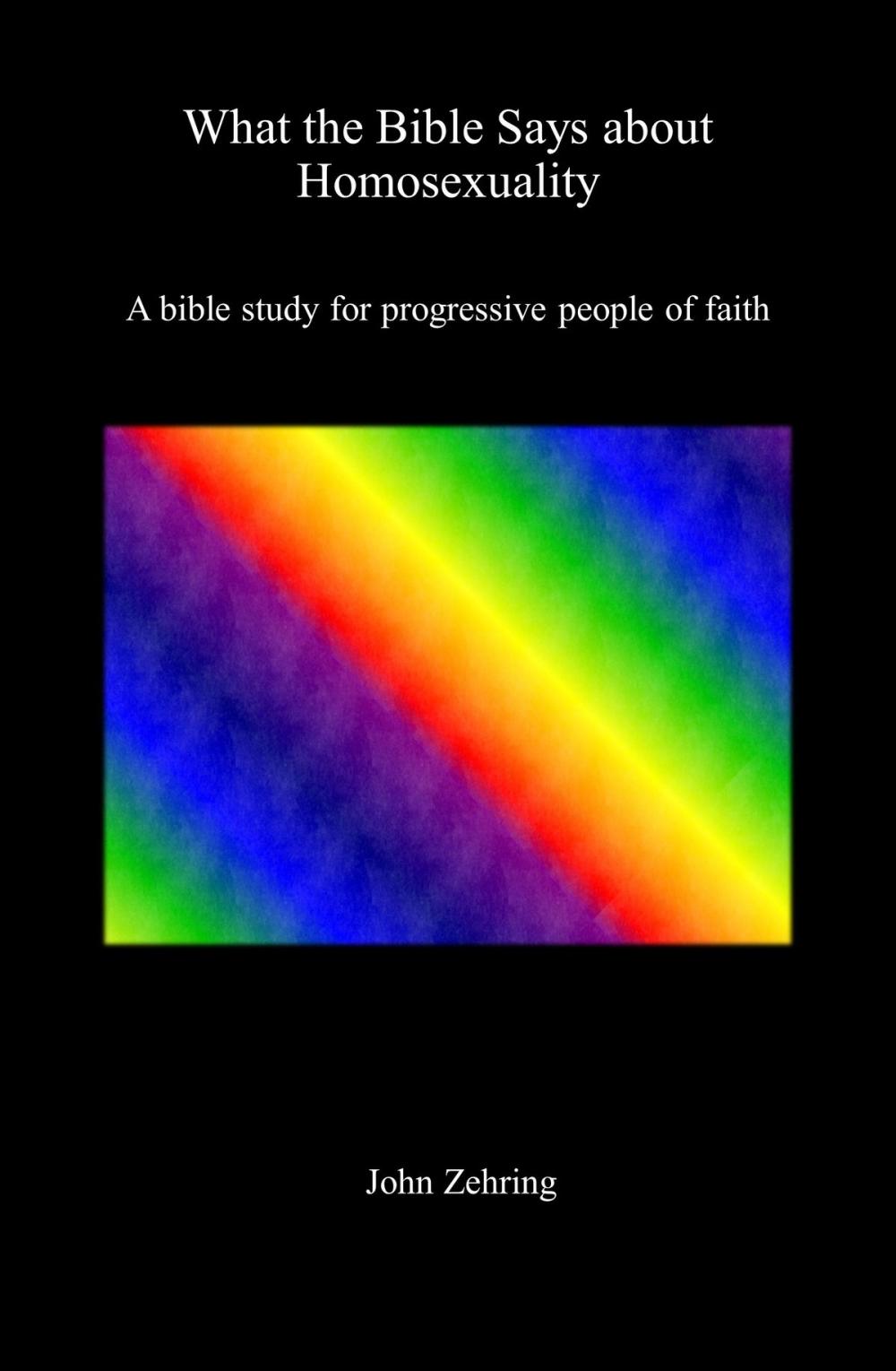 Big bigCover of What the Bible Says about Homosexuality: A Bible Study for Progressive People of Faith
