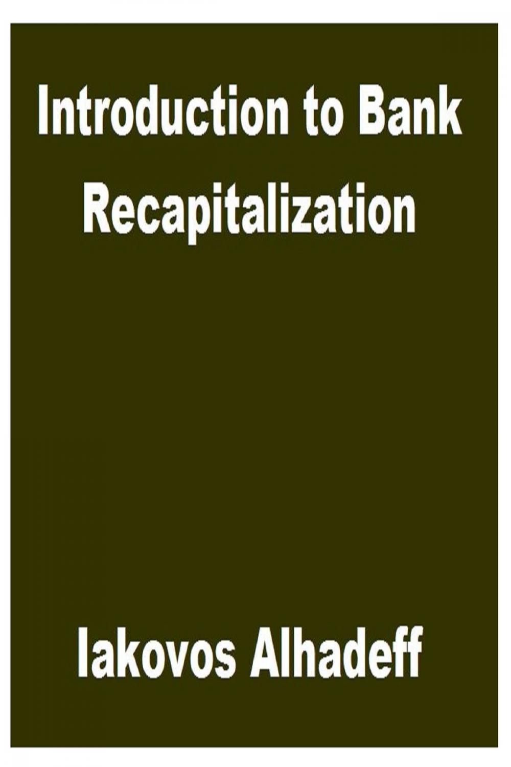 Big bigCover of Introduction to Bank Recapitalization