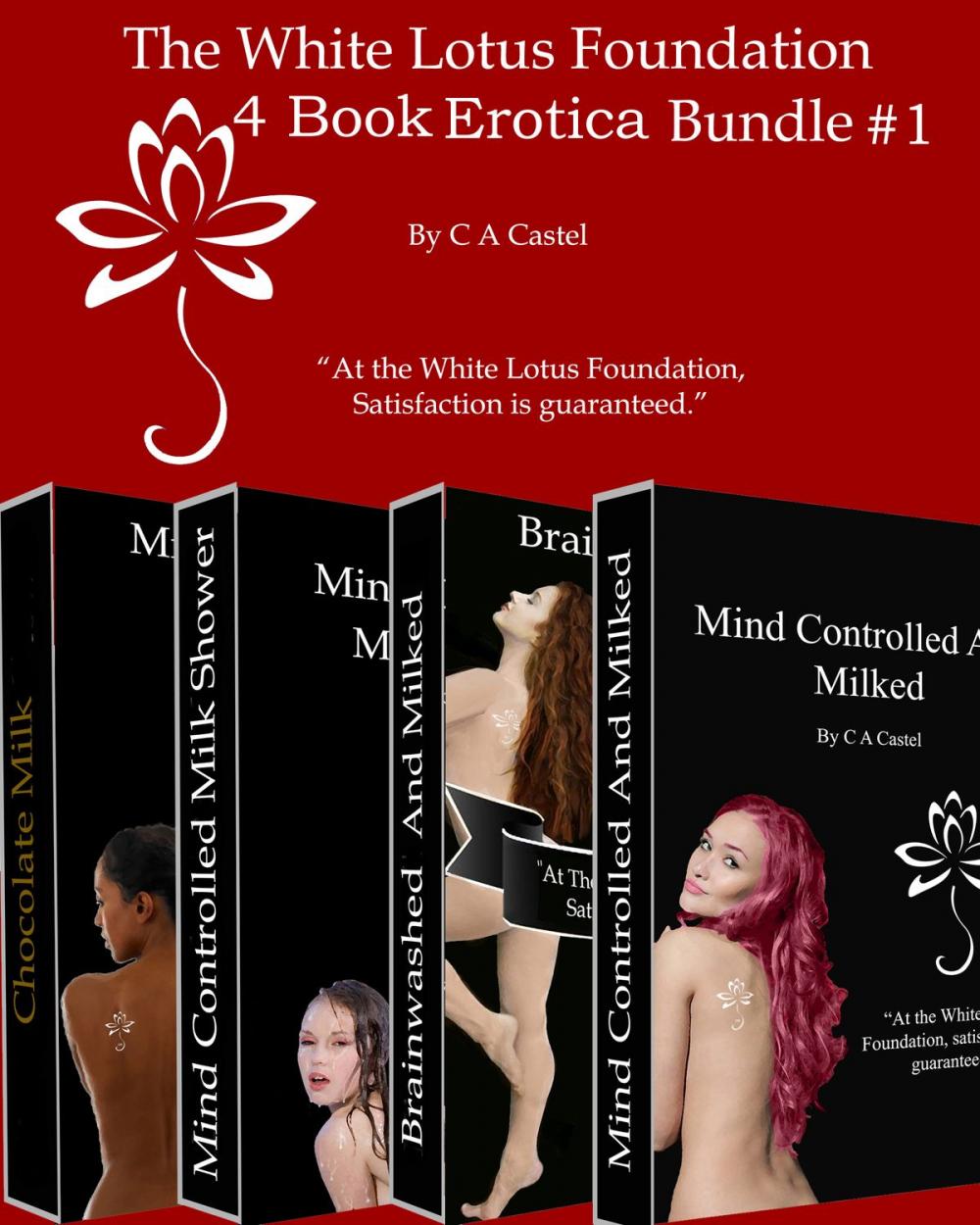 Big bigCover of The White Lotus Foundation 4 Book Erotica Bundle #1