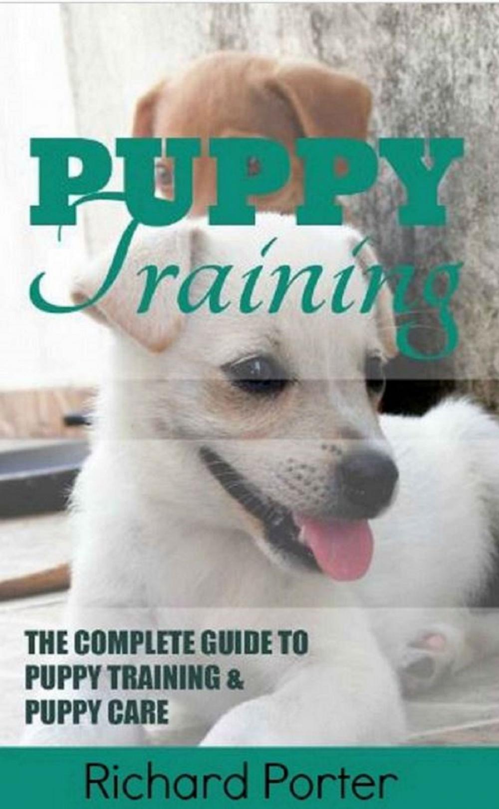 Big bigCover of Puppy Training