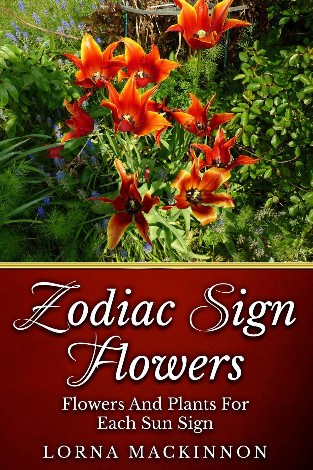 Big bigCover of Zodiac Sign Flowers: Flowers And Plants For Each Sun Sign