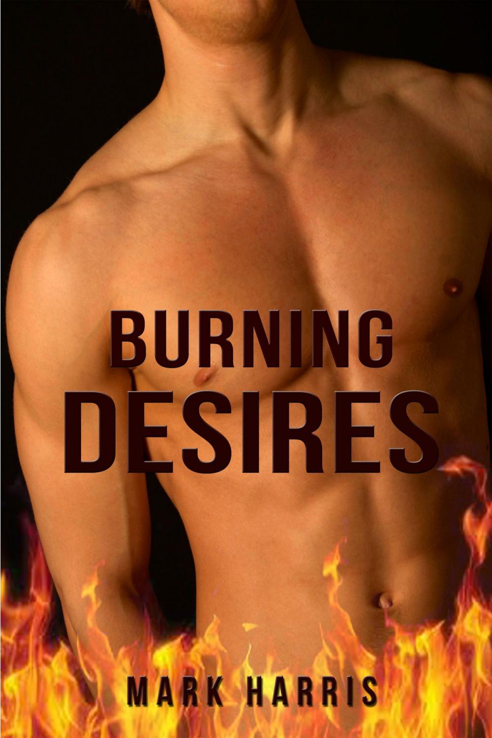 Big bigCover of Burning Desires (Gay Fireman Erotica)