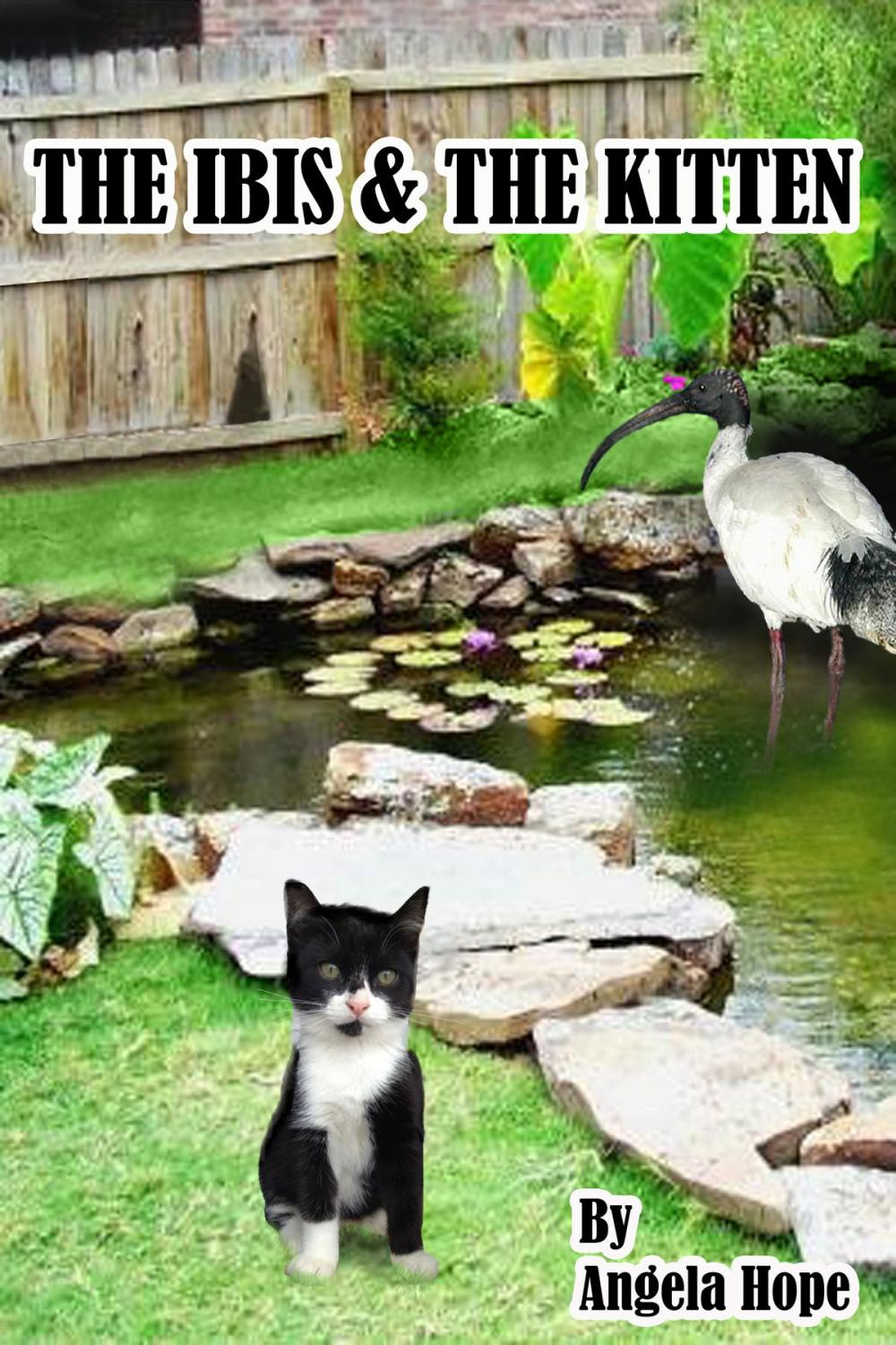 Big bigCover of The Ibis & the Kitten