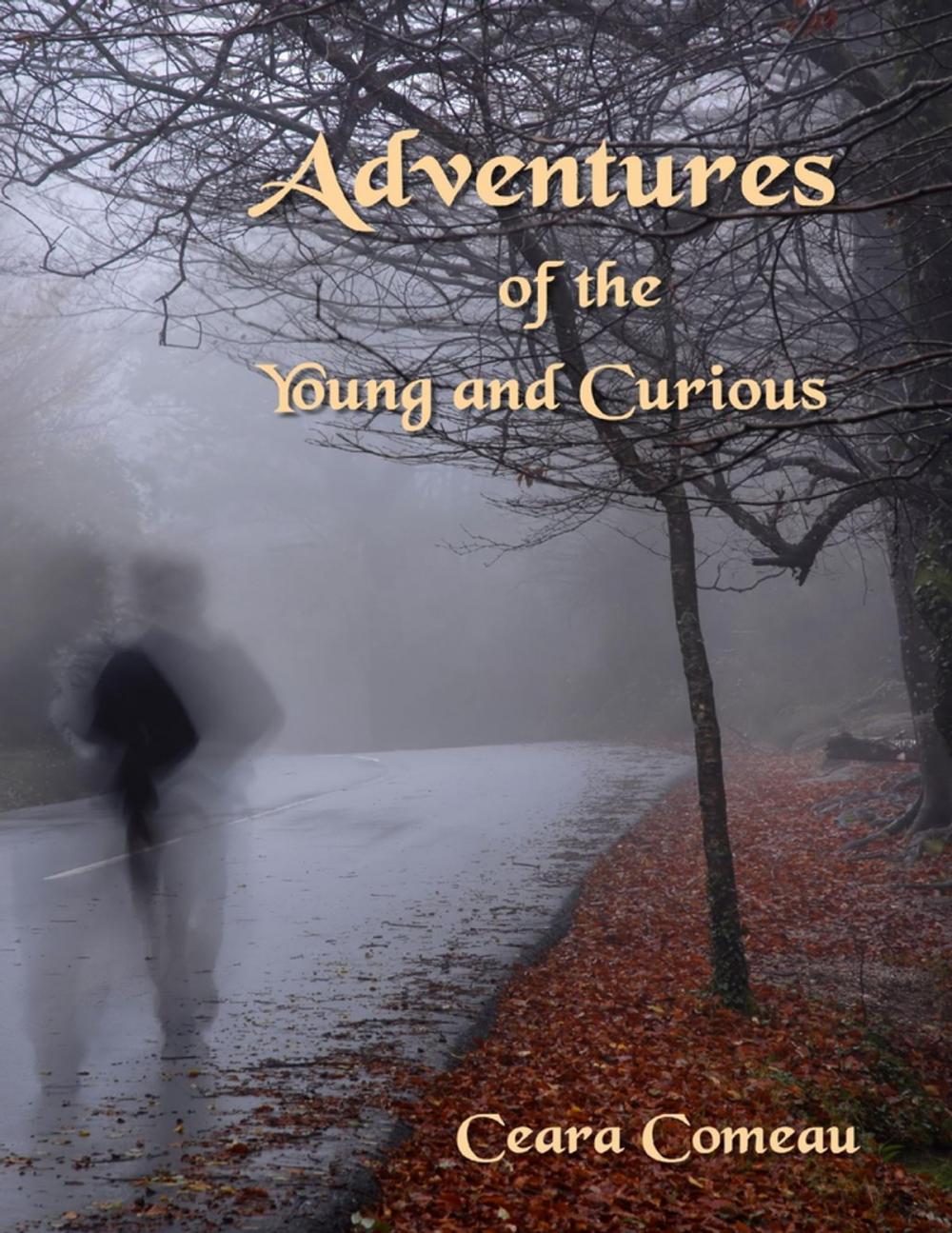 Big bigCover of Adventures of the Young and Curious