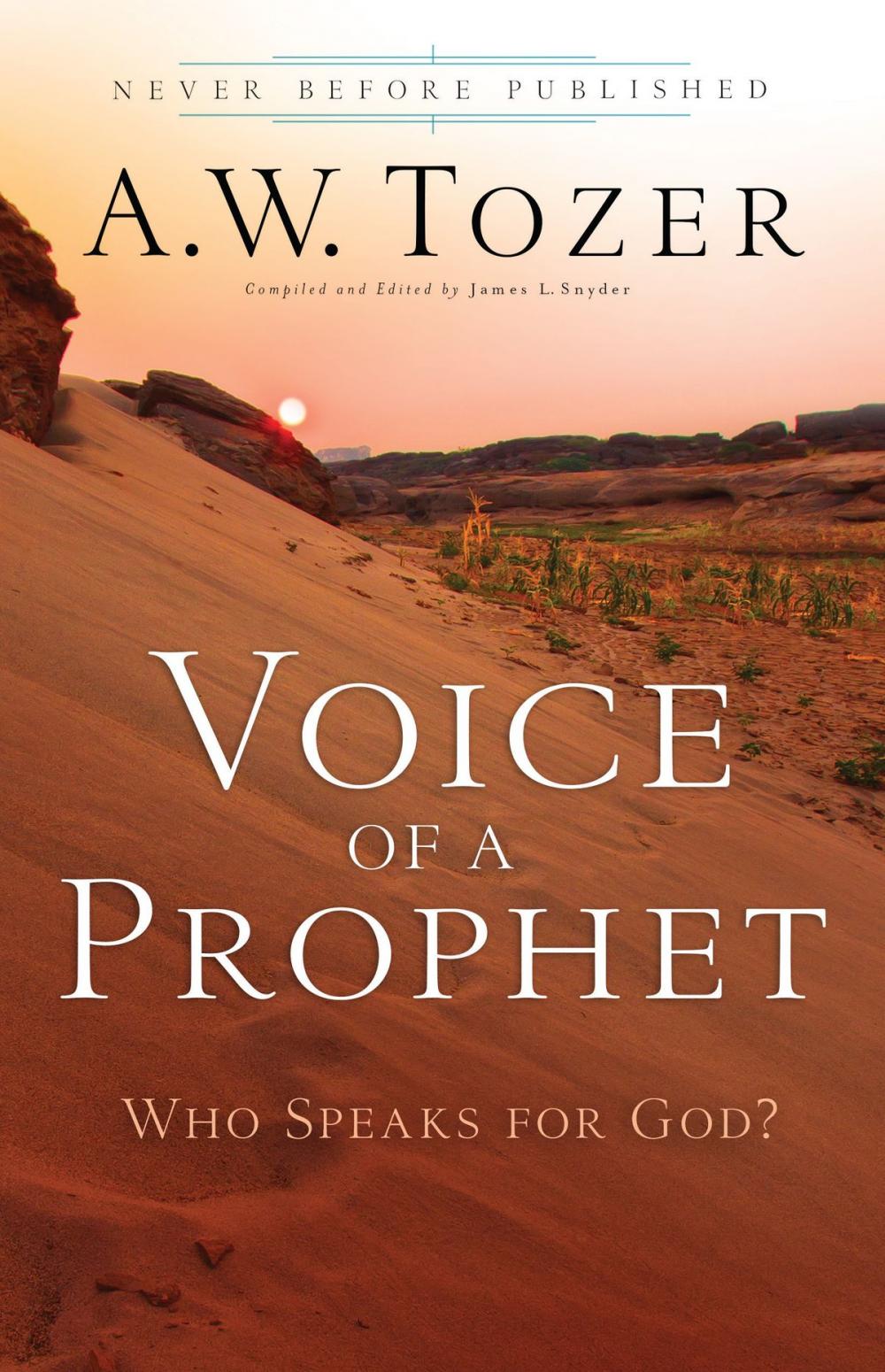 Big bigCover of Voice of a Prophet