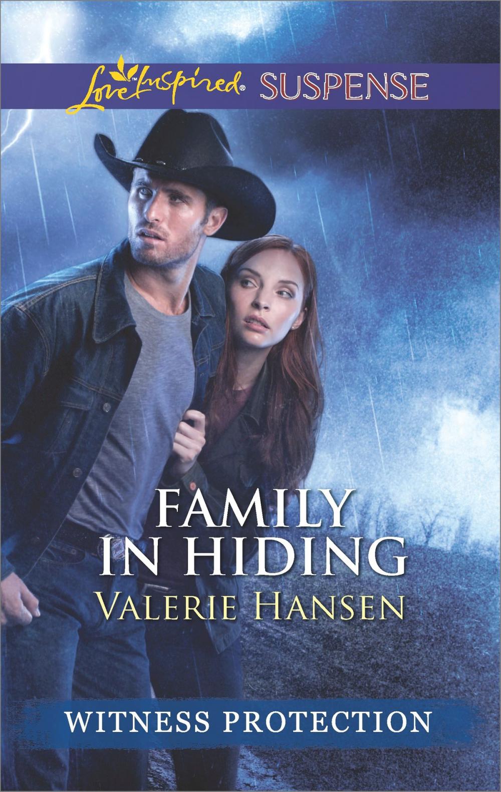 Big bigCover of Family in Hiding