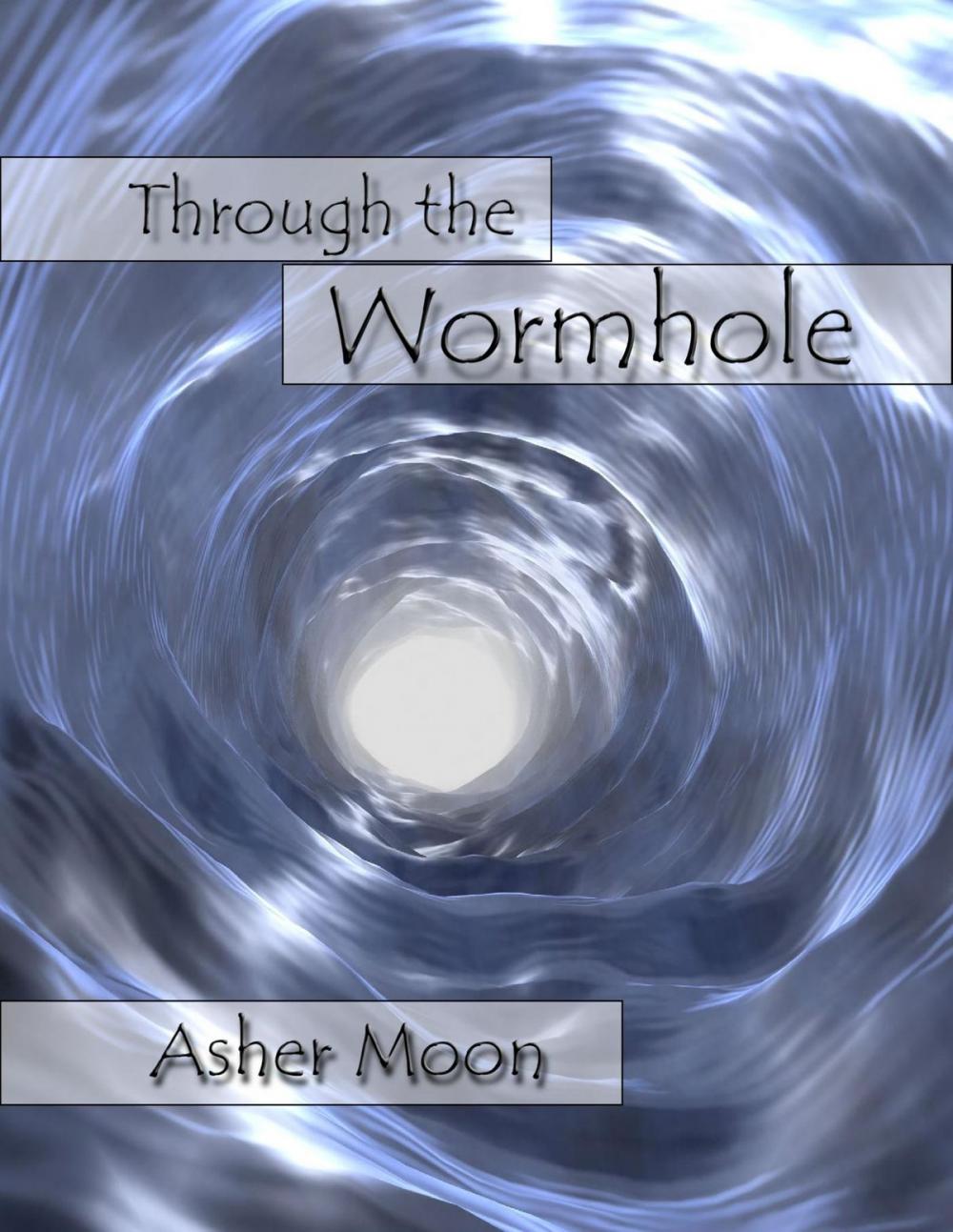 Big bigCover of Through the Wormhole