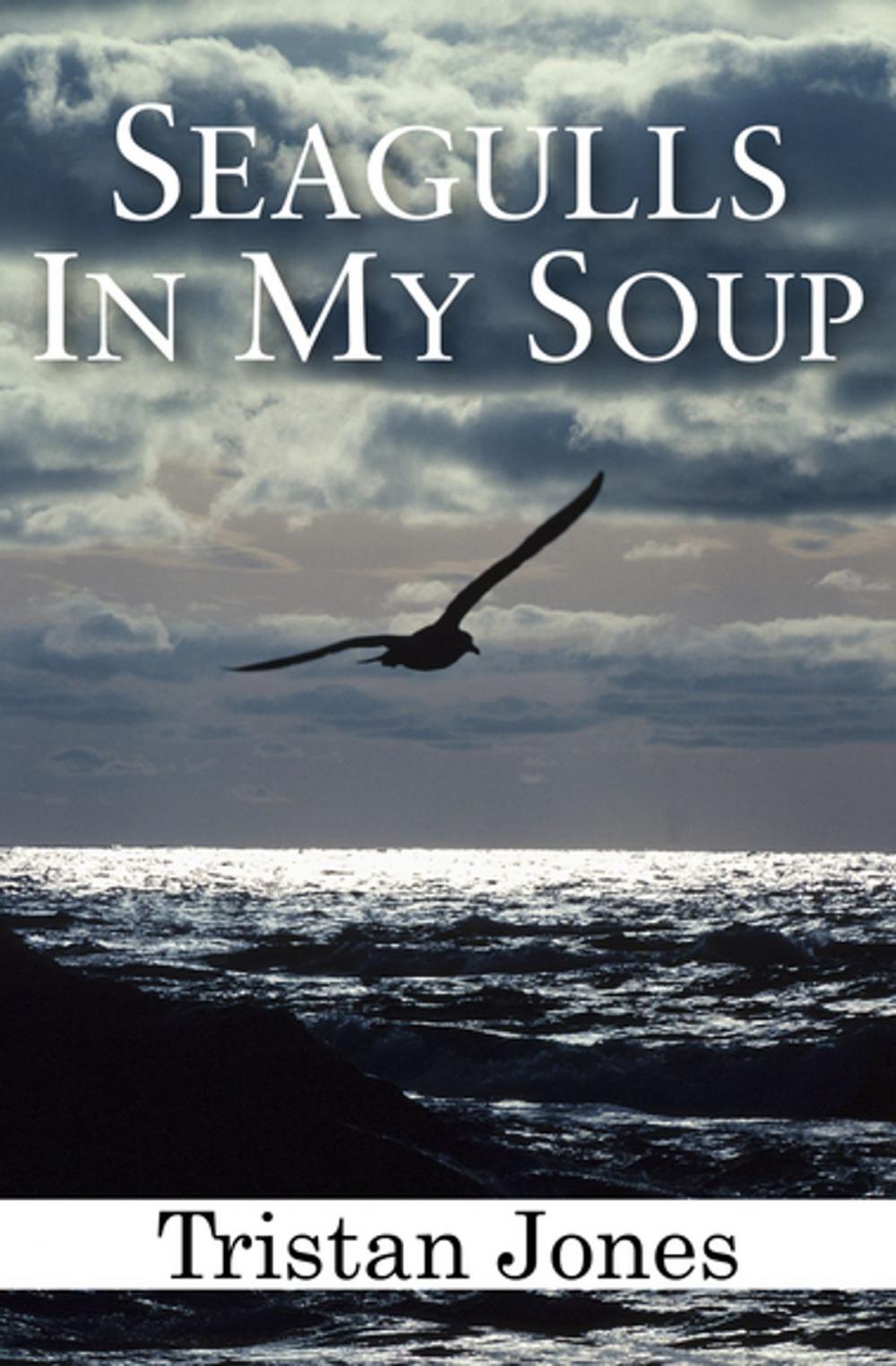 Big bigCover of Seagulls in My Soup