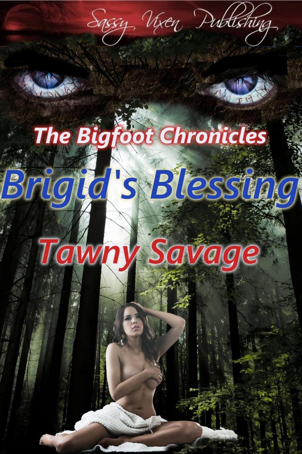 Big bigCover of Brigid's Blessing