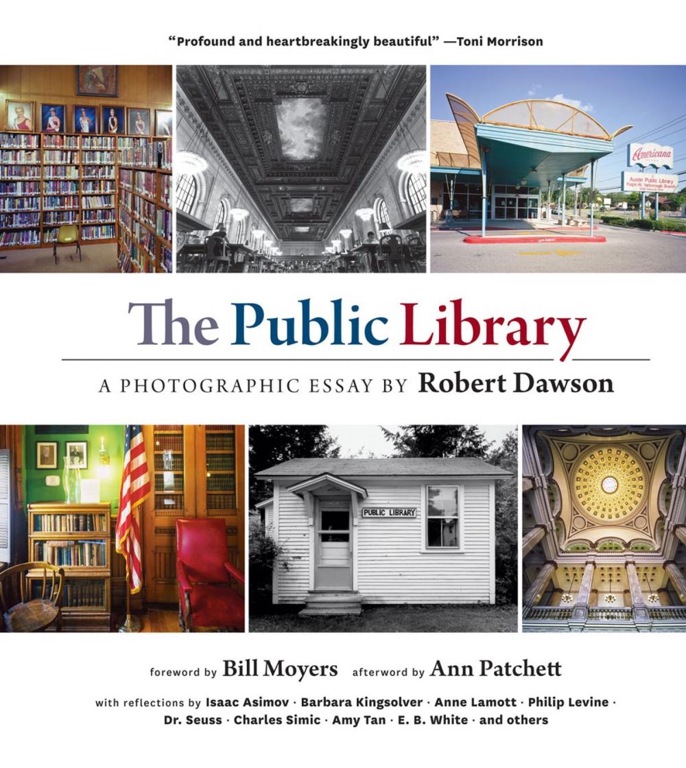 Big bigCover of The Public Library