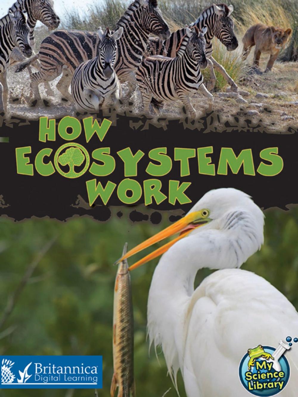 Big bigCover of How Ecosystems Work