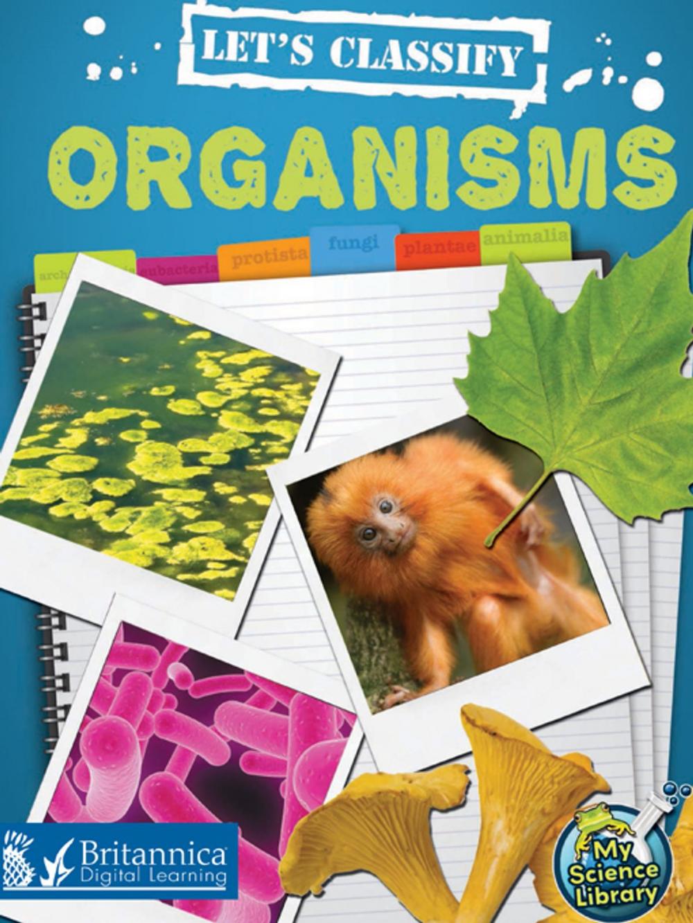 Big bigCover of Let's Classify Organisms
