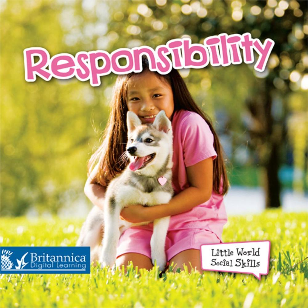 Big bigCover of Responsibility