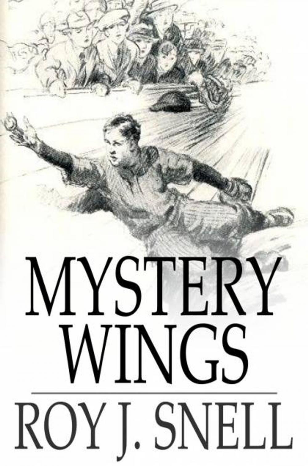 Big bigCover of Mystery Wings