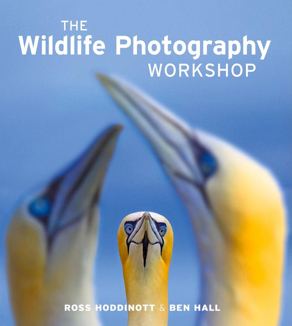 Big bigCover of The Wildlife Photography Workshop