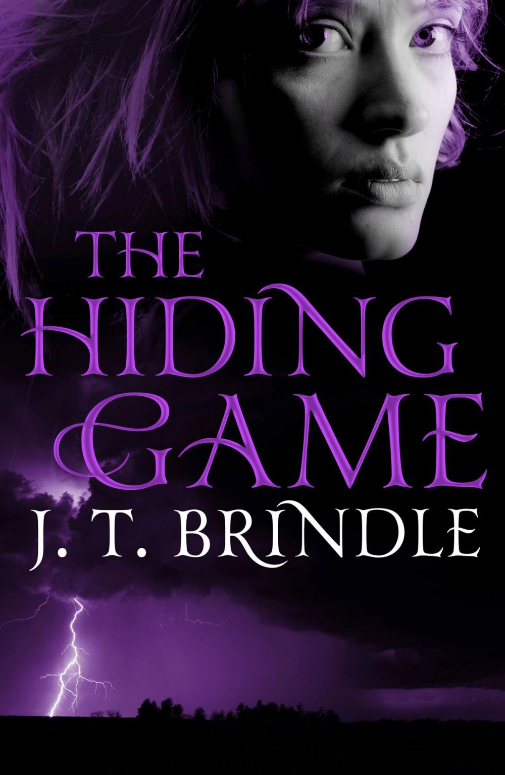 Big bigCover of The Hiding Game