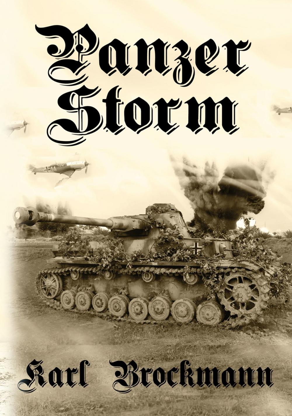 Big bigCover of Panzer Storm