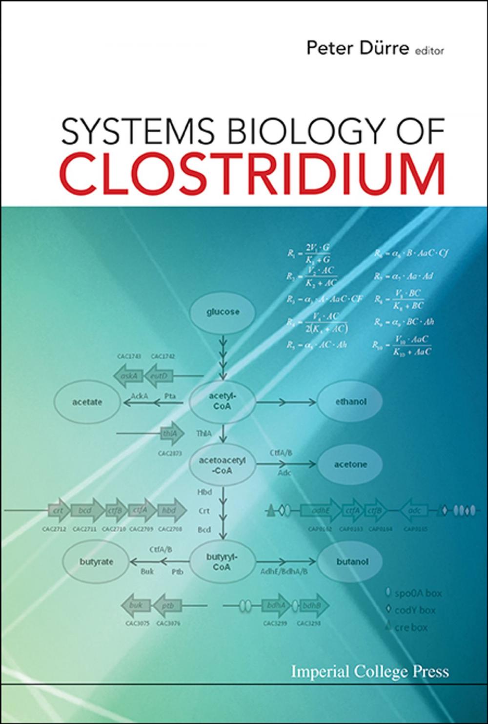 Big bigCover of Systems Biology of Clostridium