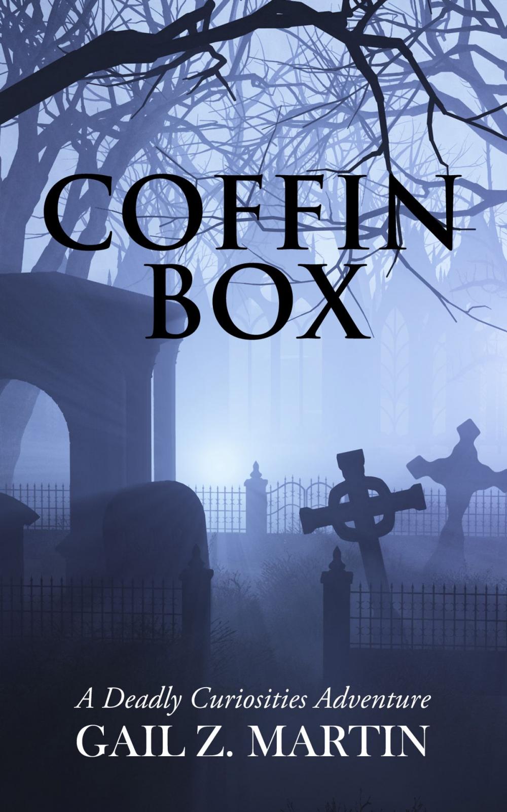 Big bigCover of Coffin Box