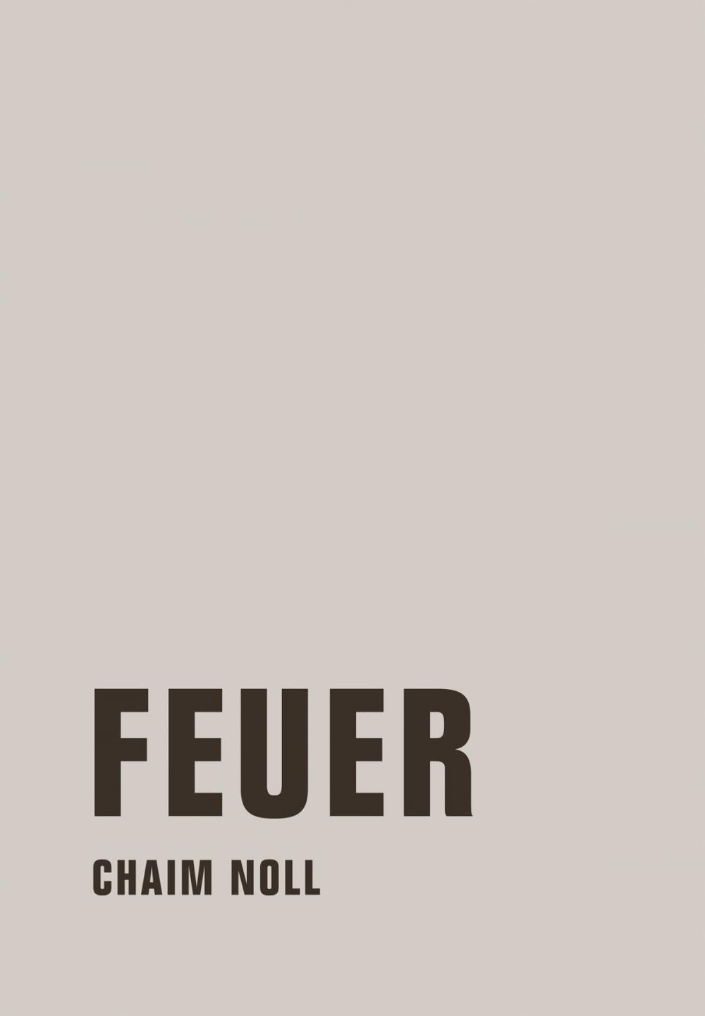 Big bigCover of Feuer