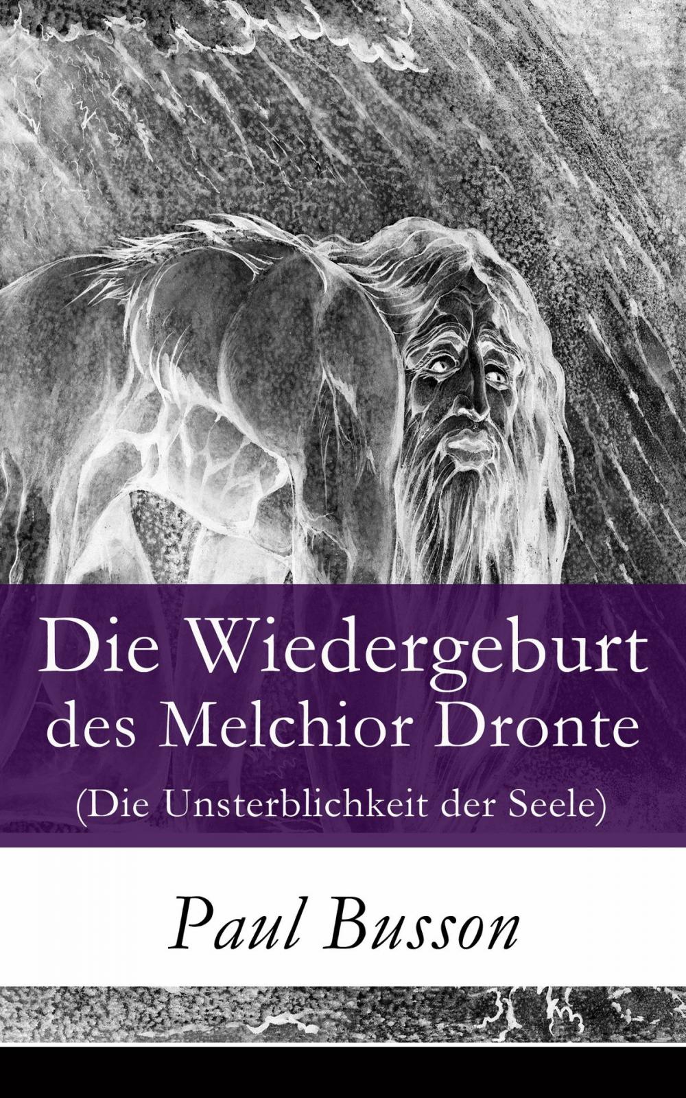 Big bigCover of Die Wiedergeburt des Melchior Dronte (Die Unsterblichkeit der Seele)