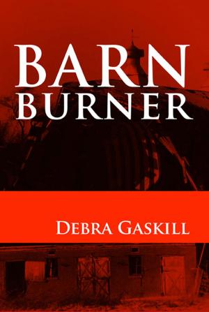 Cover of the book Barn Burner by Willee Amsden